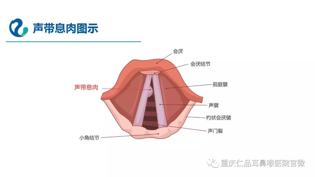 重庆仁品耳鼻喉医院