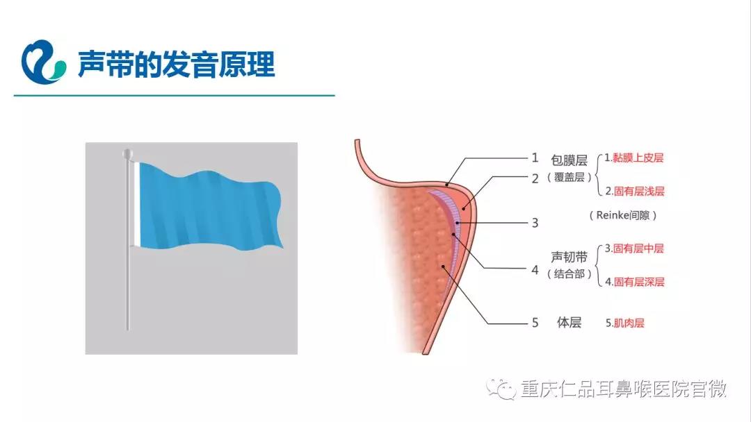 重庆仁品耳鼻喉医院