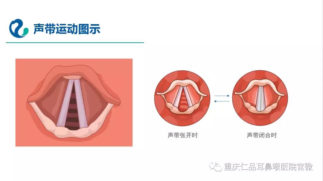 重庆仁品耳鼻喉医院