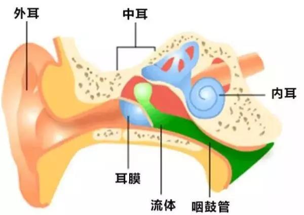 中耳炎