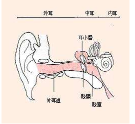 外耳道炎的预防方法