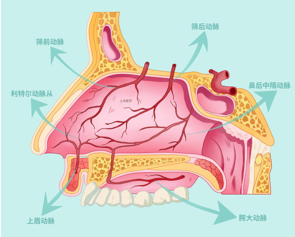 重庆专业耳鼻喉医院