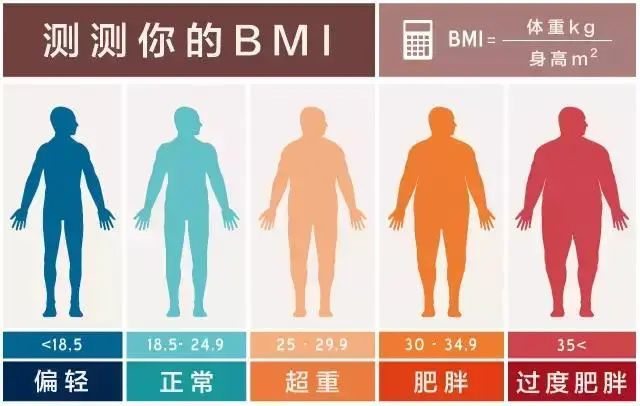 BMI公式